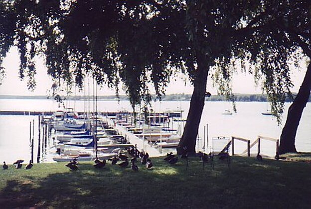 Picture